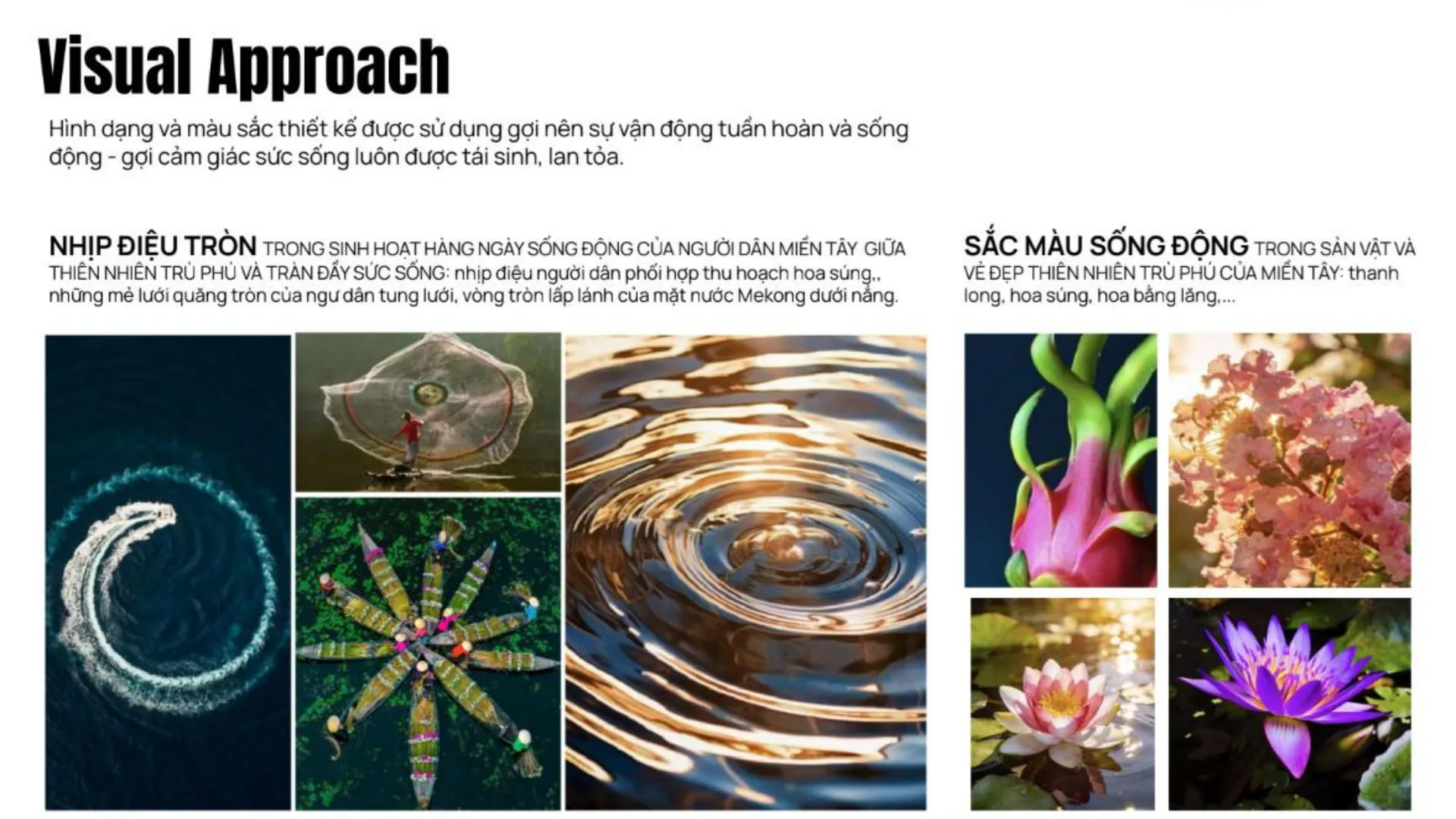 cam-hung-thiet-ke-bim-thanh-phu